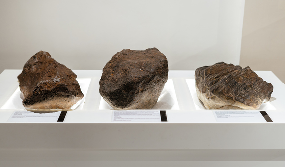 В московский Музей космонавтики вернулись метеориты 