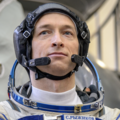 Сергей Рыжиков